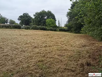 Terrain, 2 388 m²