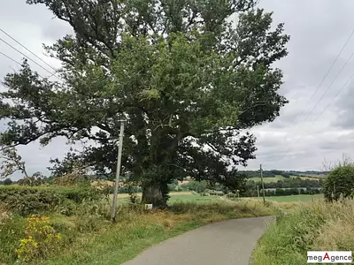 Terrain, 4 817 m²