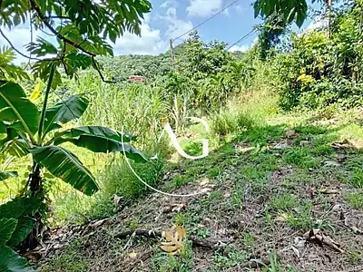 Terrain, 445 m²