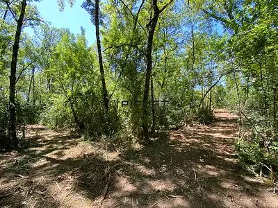 Terrain, 33 210 m²