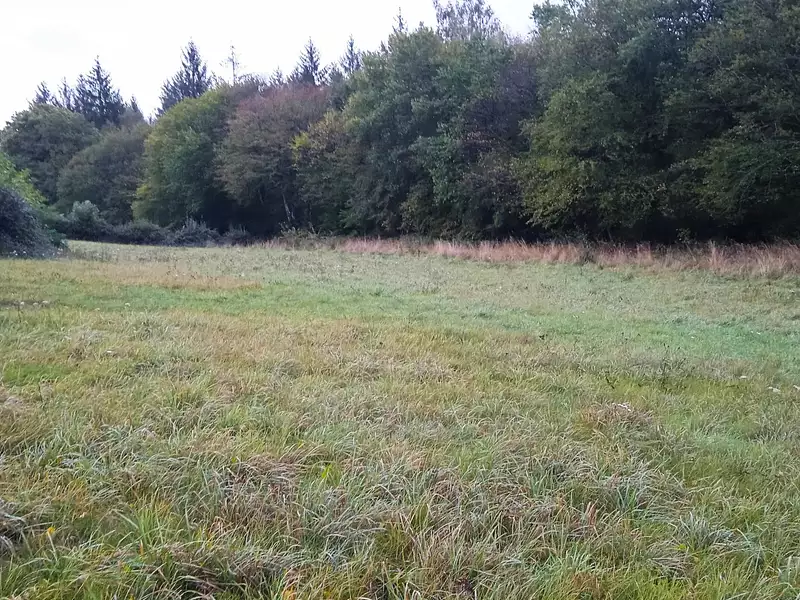 Terrain, 3 400 m²