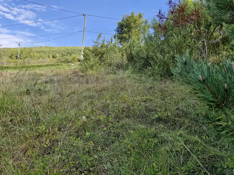 Terrain, 539 m²