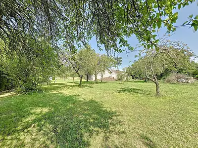 Terrain