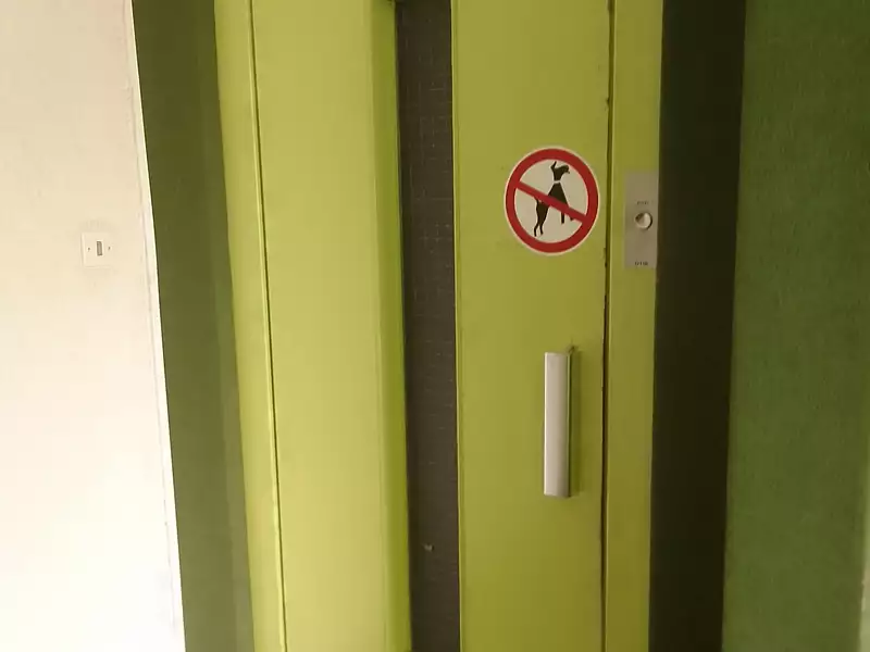 Appartement, 51 m²