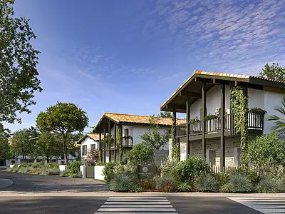 Domaine de l'aura