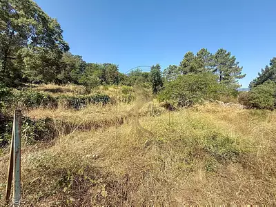 Terrain, 939 m²