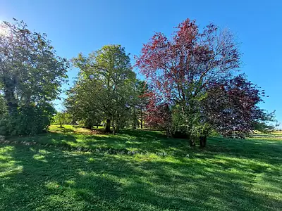 Maison, 175 m²