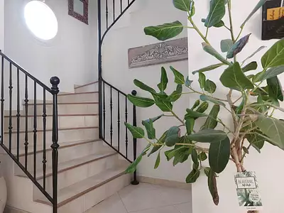 Maison, 219 m²