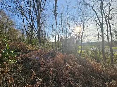 Terrain, 5 298 m²