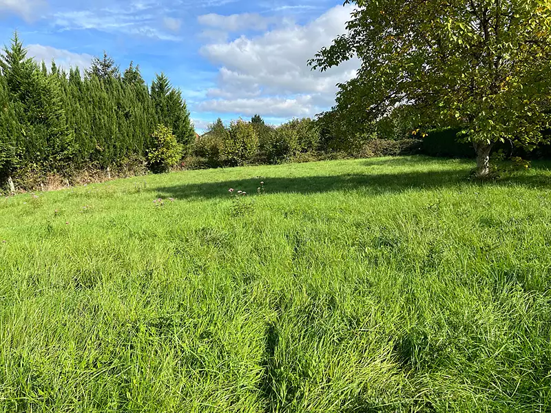 Terrain, 1 170 m²