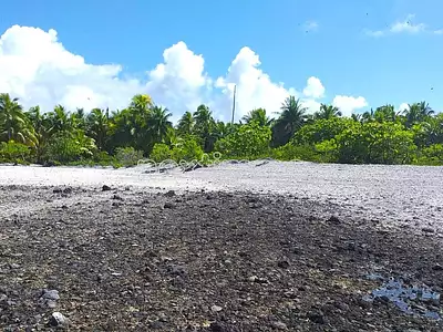Terrain, 49 280 m²