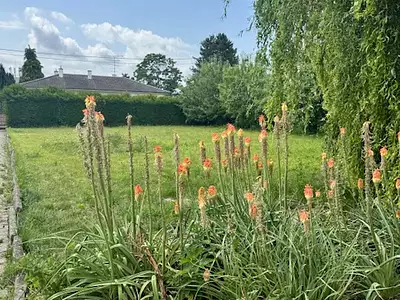 Maison, 127 m²