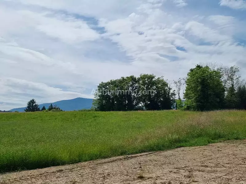 Terrain, 682 m²
