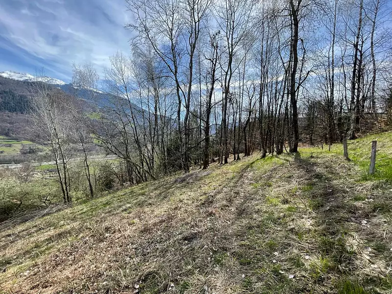 Terrain, 5 141 m²