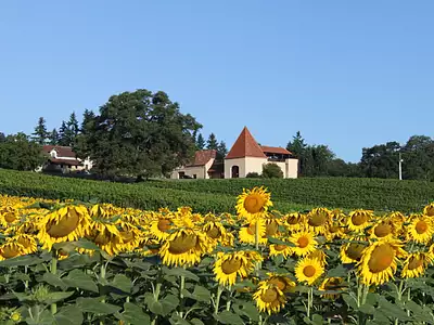 Maison, 2 200 m²