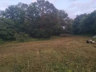 Terrain, 781 m²