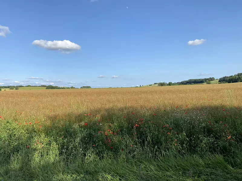 Terrain, 650 m²