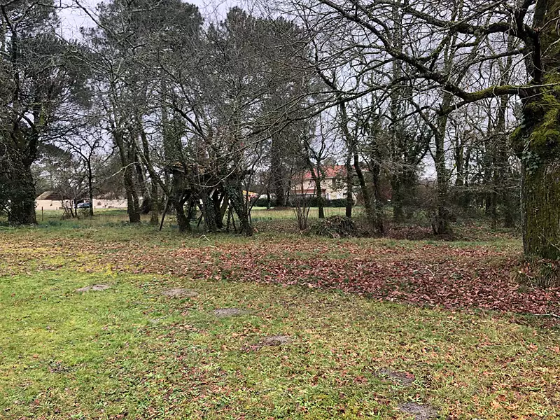 Maison, 302 m²