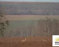 Appartement, 65,7 m²