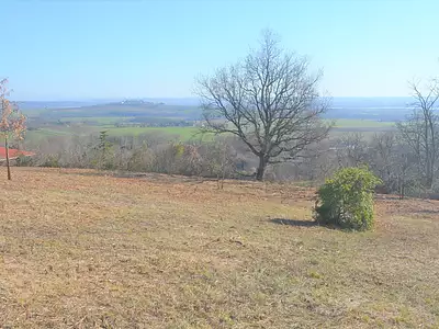 Terrain, 1 138 m²