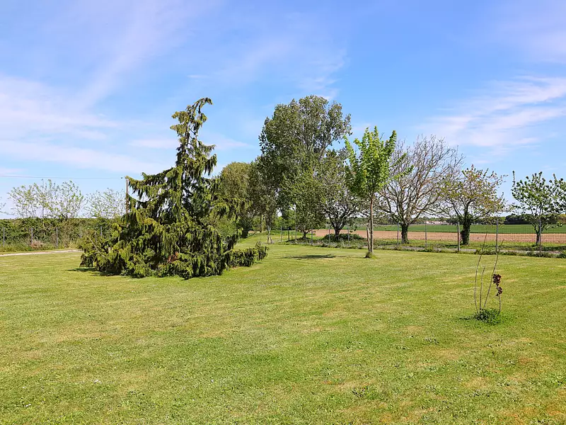 Maison, 217 m²