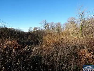 Terrain, 2 640 m²