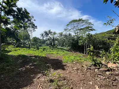 Terrain, 1 600 m²