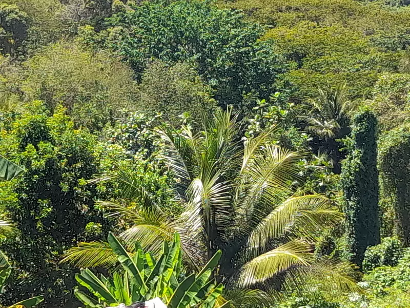 Terrain, 500 m²