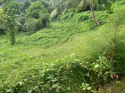 Terrain, 1 070 m²