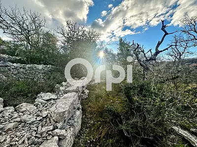 Terrain, 36 920 m²