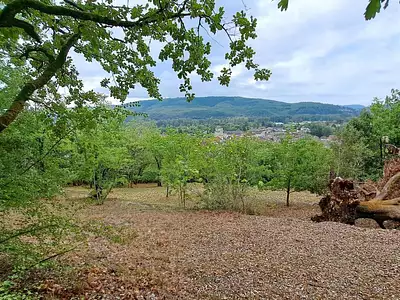 Terrain, 4 745 m²
