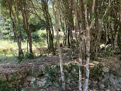 Terrain, 495 m²
