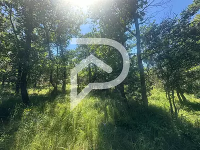 Terrain, 1 354 m²