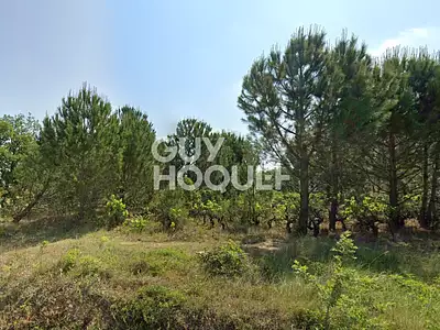 Terrain, 430 m²