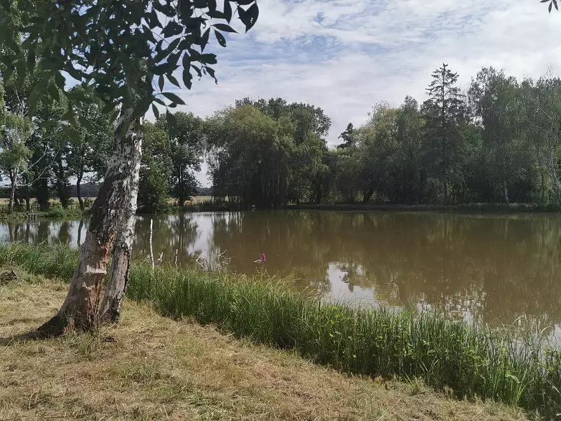Terrain, 8 613 m²