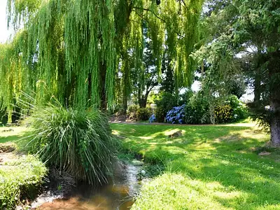 Maison, 233 m²