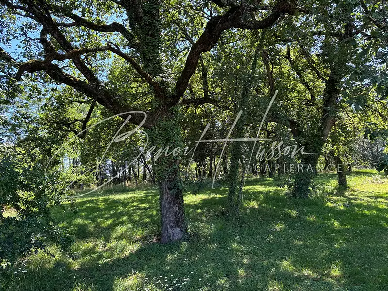 Terrain, 1 700 m²