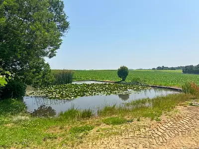 Maison, 310 m²
