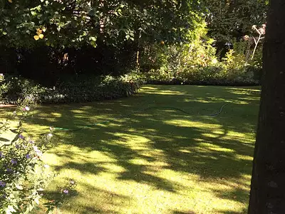 Terrain, 209 m²