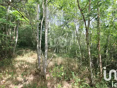 Terrain, 1 288 m²