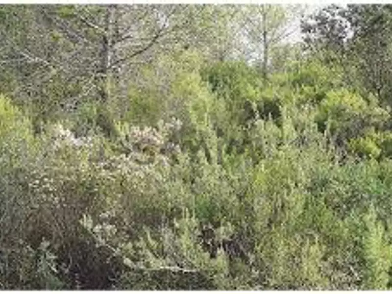 Terrain, 1 400 m²