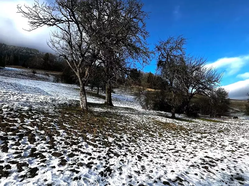 Terrain, 1 164 m²
