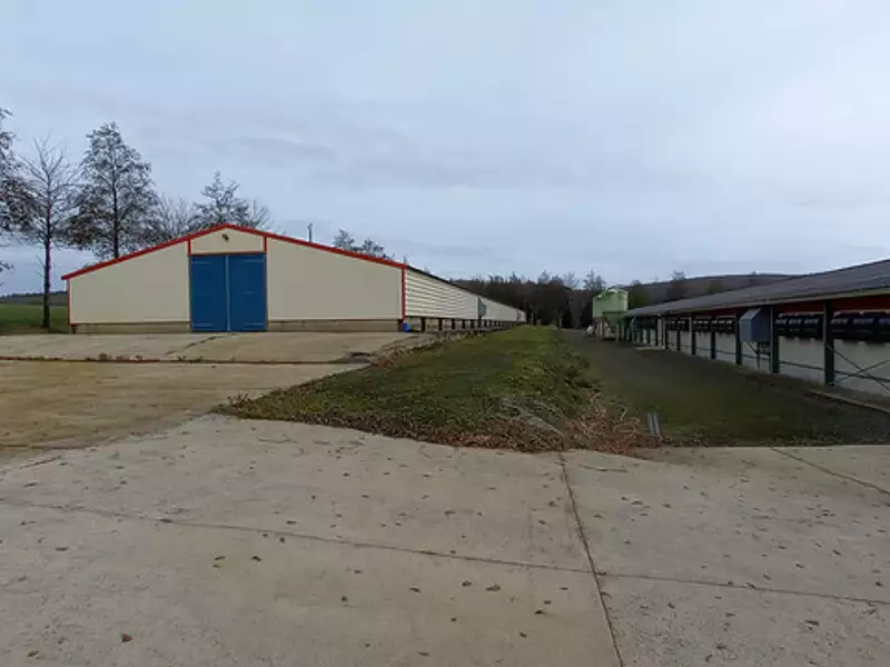 Maison, 110 m²
