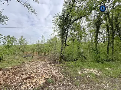 Terrain