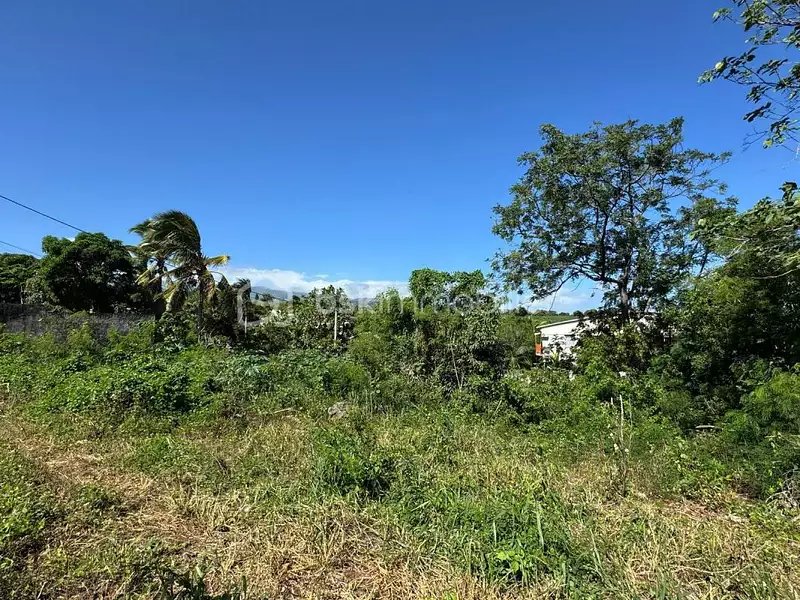 Terrain, 709 m²
