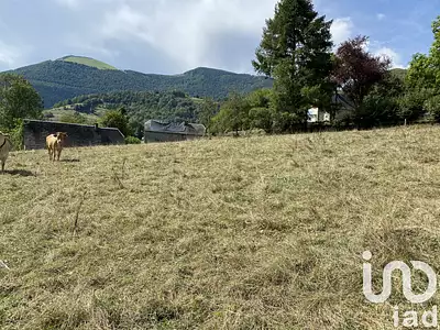 Terrain, 2 519 m²