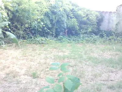 Appartement, 74,56 m²