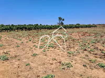 Terrain, 3 300 m²