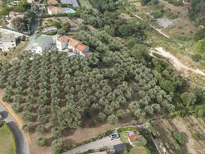 Terrain, 16 000 m²
