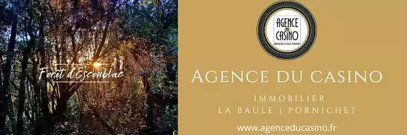 Agence Du Casino
